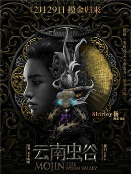 云南虫谷_天天影视