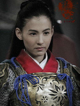 杨门女将之军令如山_天天影视