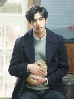 我的青春都是你_天天影视