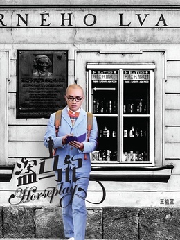 盗马记_天天影视