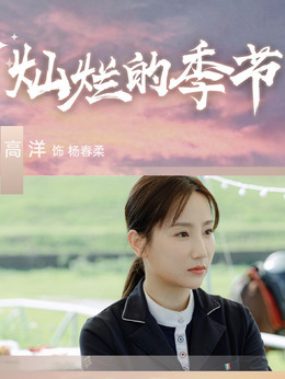 灿烂的季节_天天影视