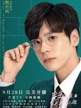 完美先生和差不多小姐_天天影视