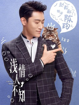 浅情人不知_天天影视