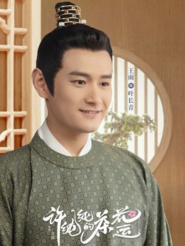 许纯纯的茶花运_天天影视