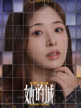 她的城_天天影视