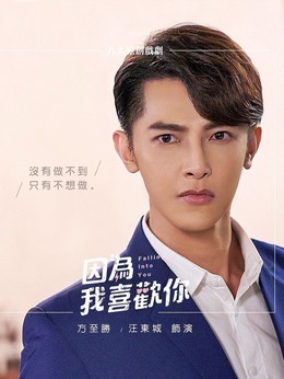 因为我喜欢你_天天影视