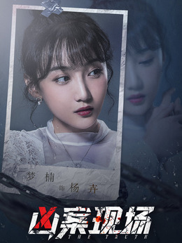 凶案现场_天天影视