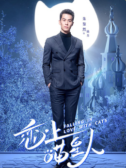 恋上喵星人_天天影视