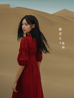 西出玉门_天天影视