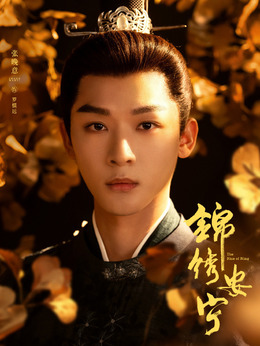 锦绣安宁_天天影视