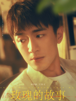 玫瑰的故事_天天影视