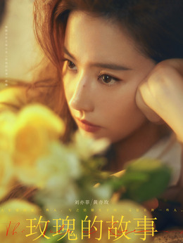 玫瑰的故事_天天影视