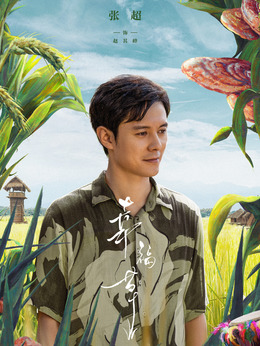 幸福草_天天影视