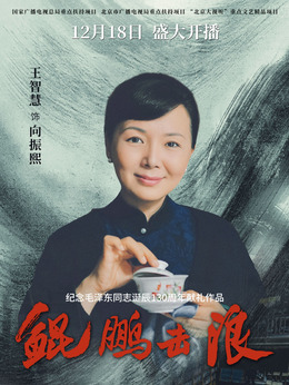 鲲鹏击浪_天天影视