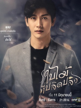 吹落的树叶_天天影视