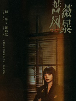 蔷薇风暴_天天影视