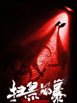 扫黑风暴_天天影视