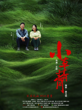 小草青青_天天影视