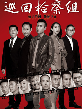 巡回检察组_天天影视