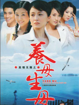 真情无限之养母生母_天天影视