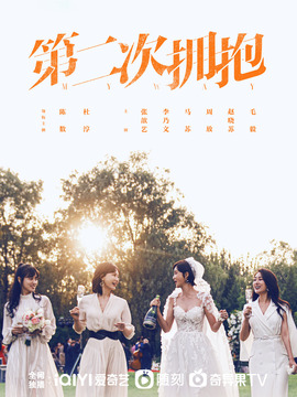 第二次拥抱_天天影视