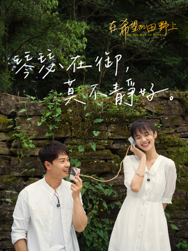 在希望的田野上_天天影视