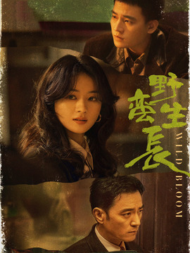 风吹半夏_天天影视