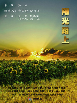 阳光路上_天天影视