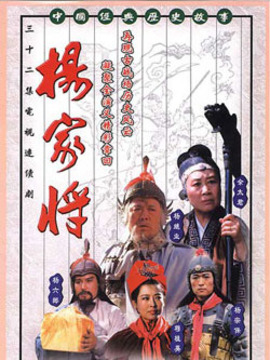 杨家将_天天影视