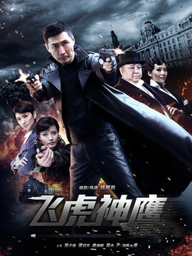 飞虎神鹰_天天影视