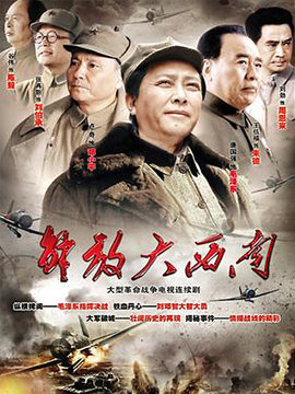 解放大西南_天天影视