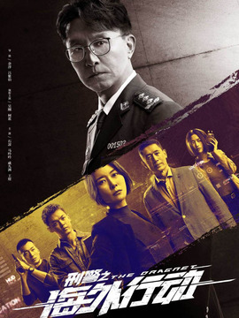 刑警之海外行动_天天影视