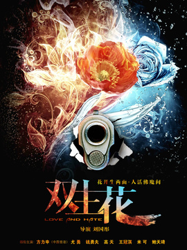 双生花_天天影视