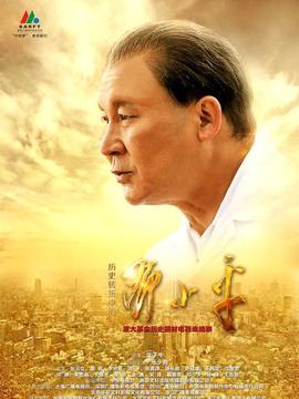 历史转折中的邓小平_天天影视