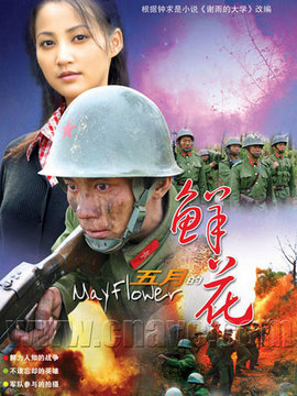 五月的鲜花_天天影视
