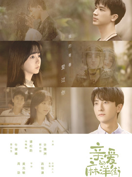 亲爱的麻洋街_天天影视