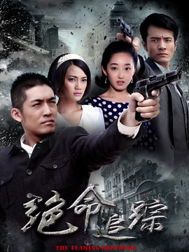 绝命追踪_天天影视