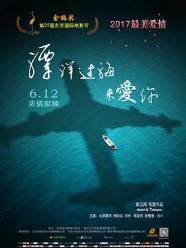 漂洋过海来爱你_天天影视