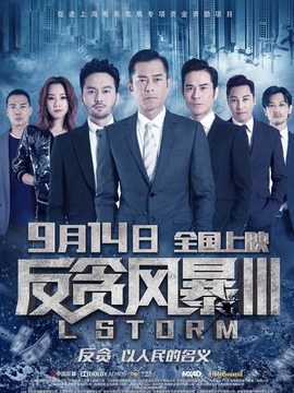 反贪风暴3_天天影视