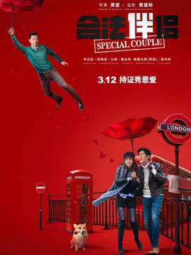 合法伴侣_天天影视