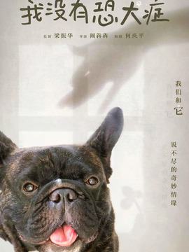 我没有恐犬症_天天影视