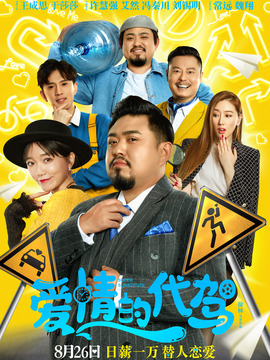 爱情的代驾_天天影视