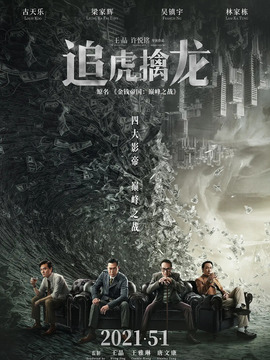 追虎擒龙_天天影视