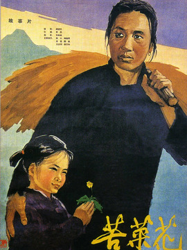 苦菜花_天天影视