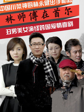 林师傅在首尔_天天影视