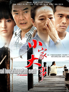 小家大事_天天影视