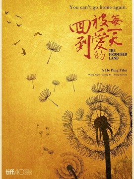 回到被爱的每一天_天天影视