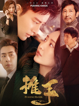 推手_天天影视