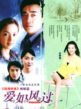 爱如风过_天天影视