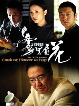 雾里看花_天天影视